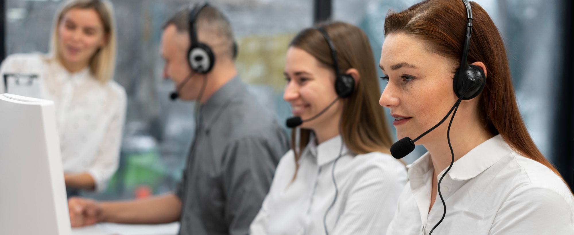 Custom Software Development